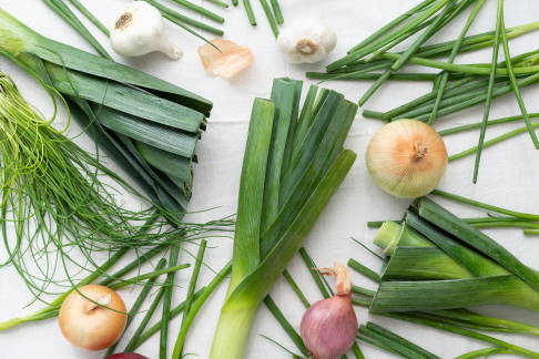 Lauchgemüse, Knoblauch und Zwiebeln