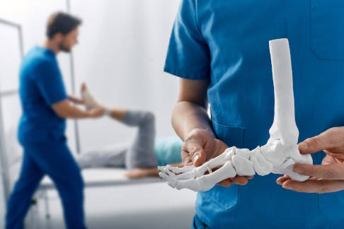 Bei der subtalaren Arthrodese werden zwei Fußknochen miteinander verbunden und versteift. © Peakstock, Adobe Arzt mit Modell eines Fusskeletts in der Hand