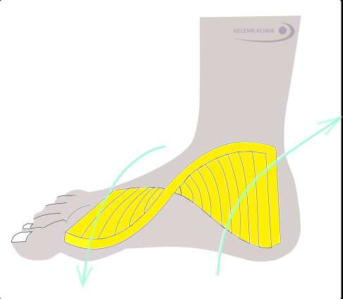 Spiralmodell des Fußes