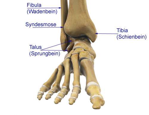 Sprunggelenk-Impingement