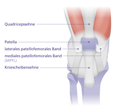 Patella