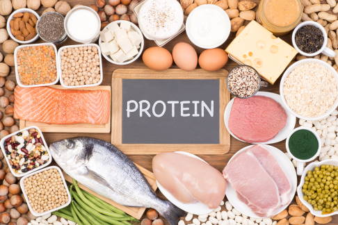 Proteine in tierischen Lebensmitteln