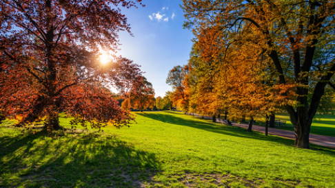 Sonnenlicht und Bewegung beugen einer Osteoporose vor.