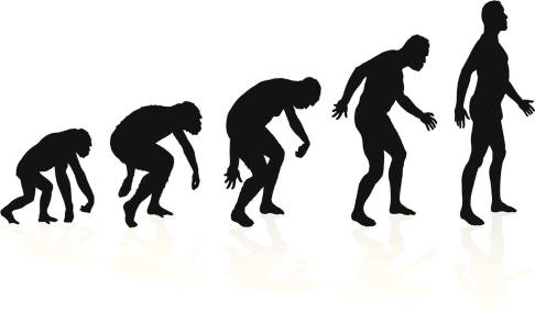 Durch die Entwicklung des aufrechten Gangs muss die Wirbelsäule das gesamte Gewicht des Rumpfes tragen. Dadurch ist der Rücken anfällig für Schmerzen. © Jorgenmac, iStock Die menschliche Evolution führt zu Rückenschmerzen.
