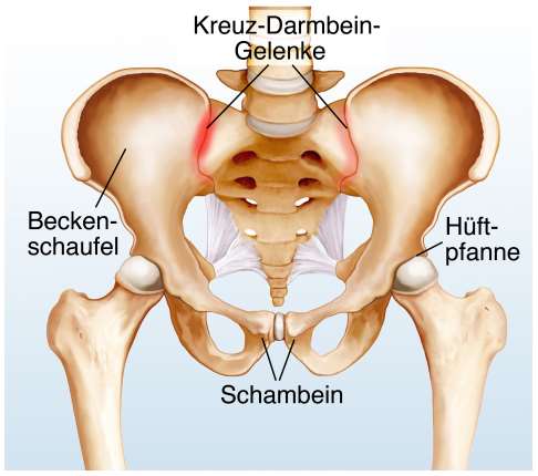 Iliosakralgelenk: Kreuz-Darmbein-Gelenk