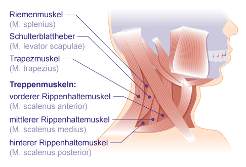 Nackenschmerzen - Was tun?