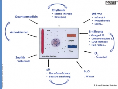 Zellbiologische Regulationstherapie arbeitet über Förderung der Mikrozirkulation der Extrazellulären Matrix. Die ZRT® -Zellbiologischen Regulationsmedizin oder Matrix-Therapie integriert viele verschiedene Behandlungsansätze, um dieses Ziel zu erreichen. © Dr. Bernhard Dickreiter Zellbiologische Regulationstherapie arbeitet über eine Reinigung der Extrazellulären Matrix